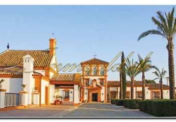 456081-Vorschaubild3