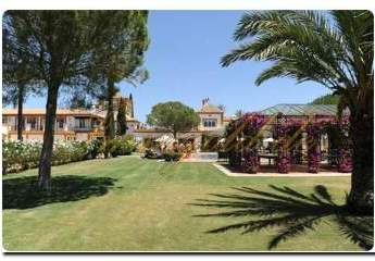 456081-Vorschaubild4