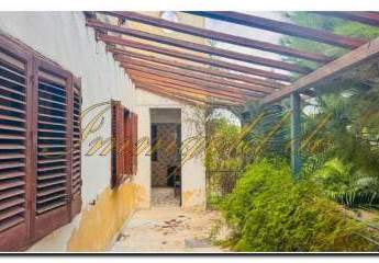 458209-Vorschaubild3