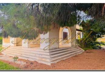 458209-Vorschaubild4