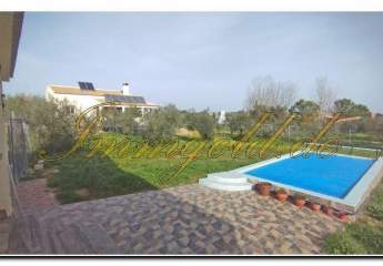 458361-Vorschaubild2