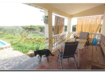 458361-Vorschaubild3