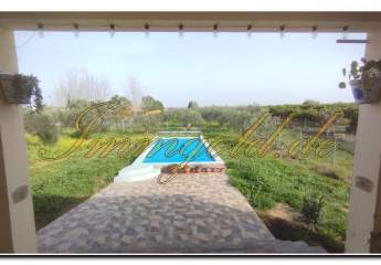 458361-Vorschaubild4