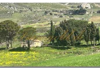 458719-Vorschaubild2