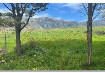 459753-Vorschaubild2