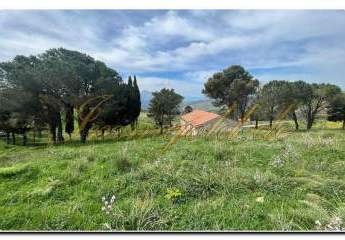 459753-Vorschaubild4