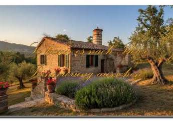 443629-Vorschaubild2