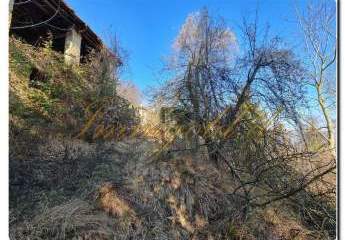 459754-Vorschaubild2