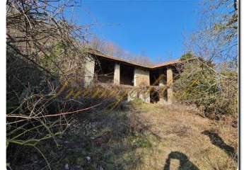 459754-Vorschaubild4