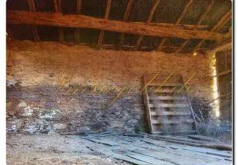 460125-Vorschaubild3