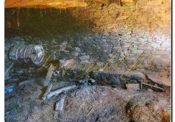 460125-Vorschaubild4