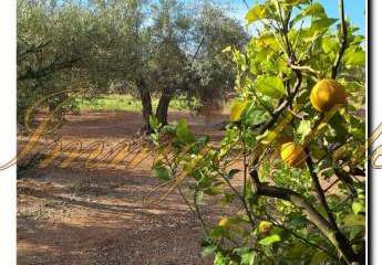 461378-Vorschaubild2