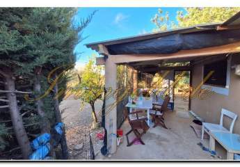 461378-Vorschaubild3