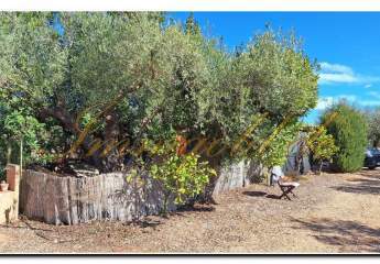 461378-Vorschaubild4