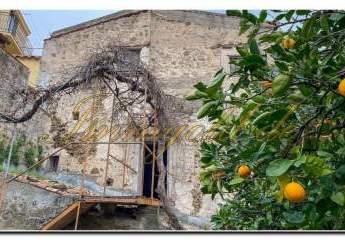 462270-Vorschaubild2