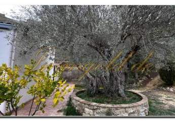 462918-Vorschaubild3