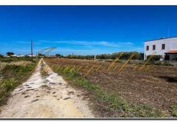 463280-Vorschaubild2