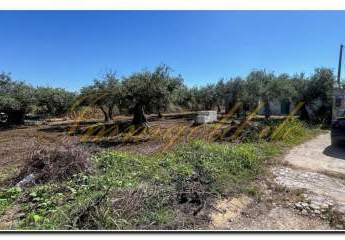 463280-Vorschaubild3