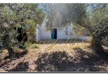 463280-Vorschaubild4