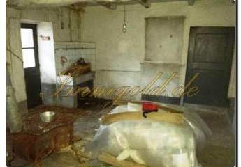 466553-Vorschaubild3