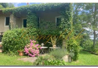 466555-Vorschaubild4