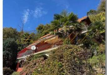 Immogold Obere zwei Zimmer Wohnung mit Terrasse und super Seeblick