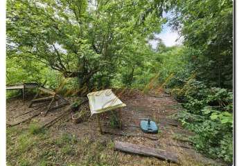 470452-Vorschaubild3