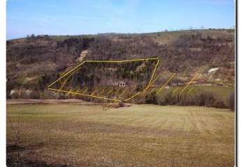 473310-Vorschaubild2