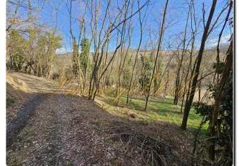 473310-Vorschaubild4