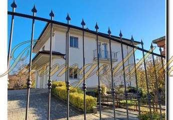 474244-Vorschaubild2