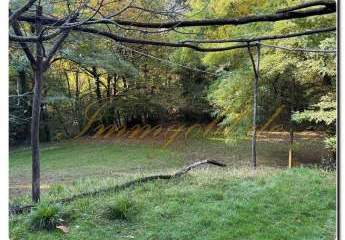 476350-Vorschaubild3