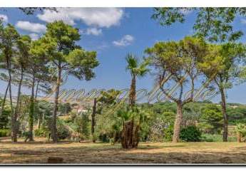 478743-Vorschaubild3