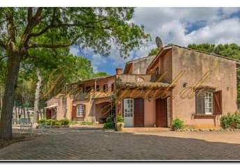 478743-Vorschaubild4