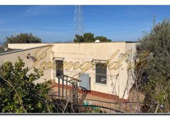 479266-Vorschaubild2