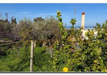 479266-Vorschaubild3