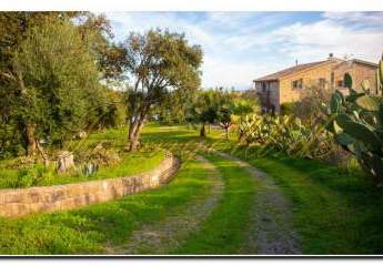 479973-Vorschaubild2