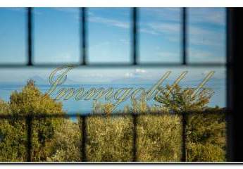 479973-Vorschaubild4