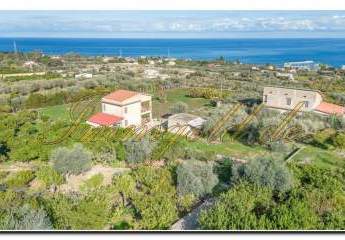 481049-Vorschaubild2