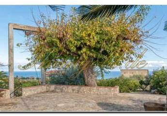 481049-Vorschaubild3