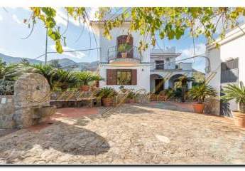 481049-Vorschaubild4