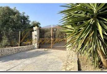 481454-Vorschaubild3