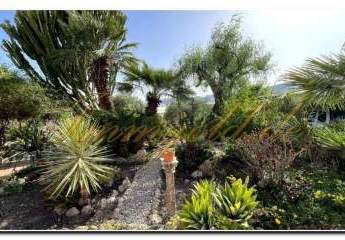 481454-Vorschaubild4