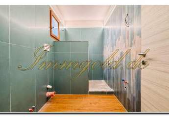 483017-Vorschaubild3