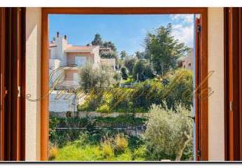 483017-Vorschaubild4