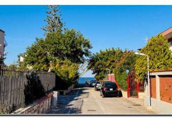 483905-Vorschaubild2