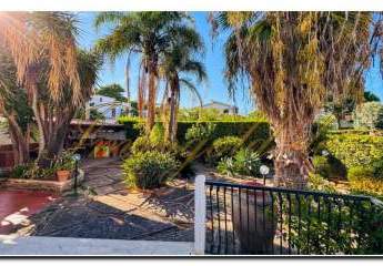 483905-Vorschaubild3