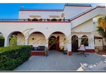 483905-Vorschaubild4