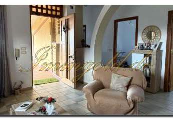 484141-Vorschaubild4