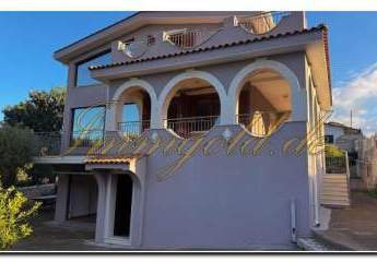 484381-Vorschaubild2