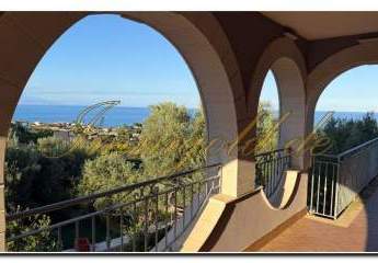 484381-Vorschaubild3